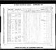 1861 CA Census - Zenas Matthews.jpg